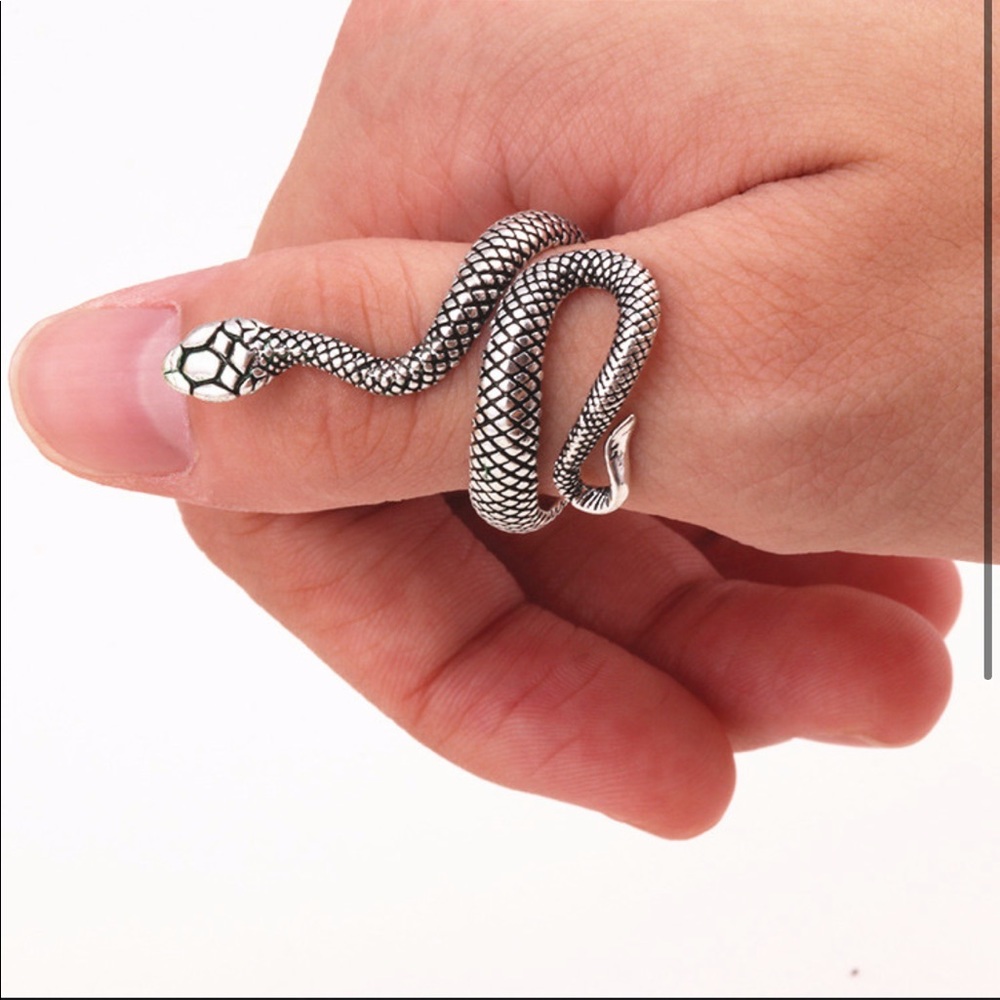 Titanium Steel Snake Ring